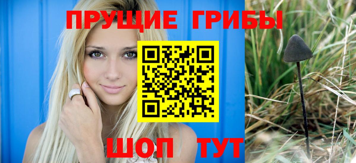 Галлюциногенные грибы Magic Shrooms Мегион